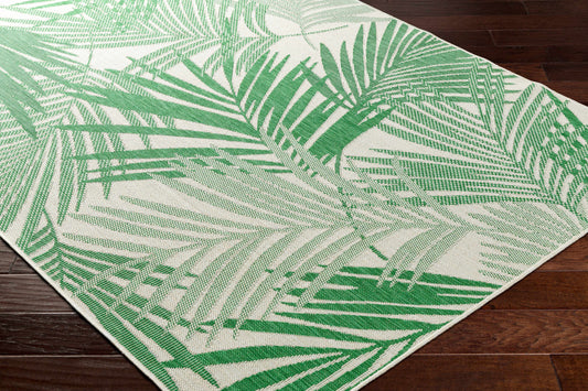 Jaala Area Rug - Clearance